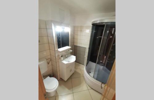 Pitesti Apartment | Dana
