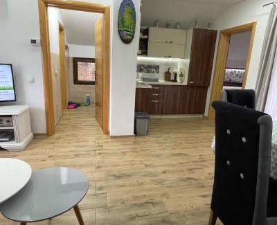 Vrdnik Apartment | Dani apartment