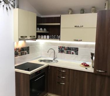 Vrdnik Apartment | Dani apartment