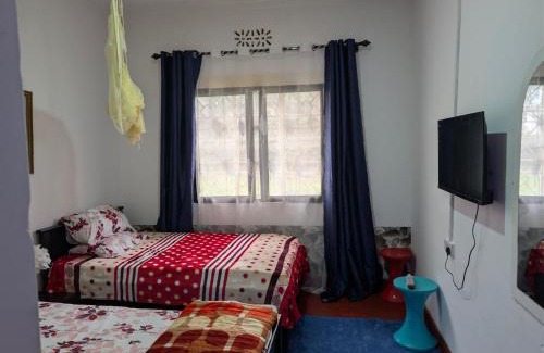 Moshi House | Dans place