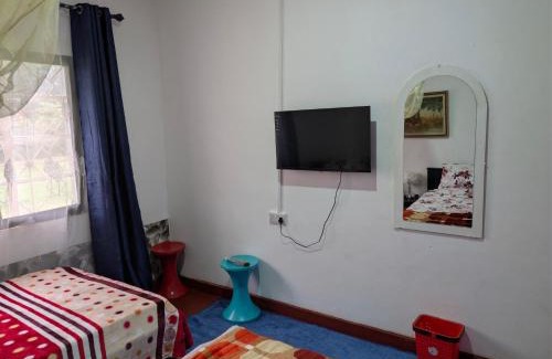 Moshi House | Dans place