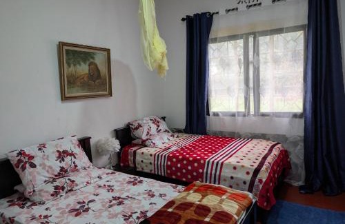 Moshi House | Dans place