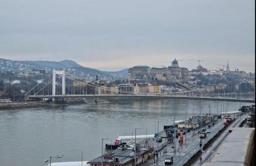 Inner City Budapest Apartment | Danube Wonder View apartment