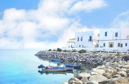 Borj Erras House | Dar Douja - A proximité de la mer