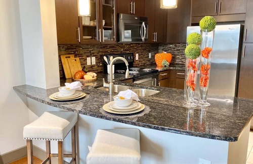MacGregor Apartment | DAVANI|Great view of Medical Centre|Houston