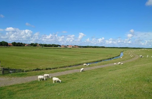 Municipality of Terschelling Apartment | De Oostkamer; Eiland appartement naast natuurgebied Boschplaat