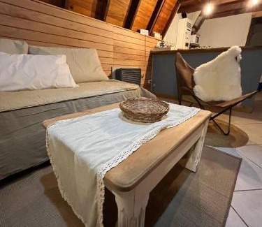 Province of Tierra del Fuego Ski Chalet | del ANDINO.USH