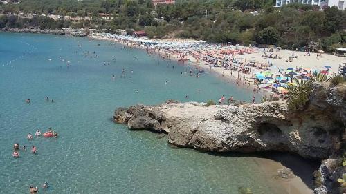Marina Di Camerota Hotel | Delfino
