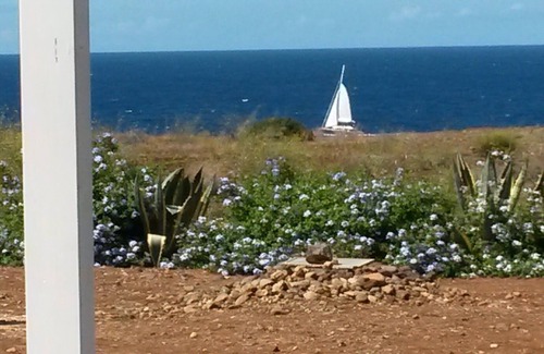 Ustica Villa | DELIGHTFUL VILLA "WIND" FOR THOSE WHO LOVE A HOLIDAY IN CONTACT WITH NATURE