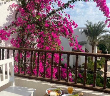 El Hadaba Apartment | Delta Sharm
