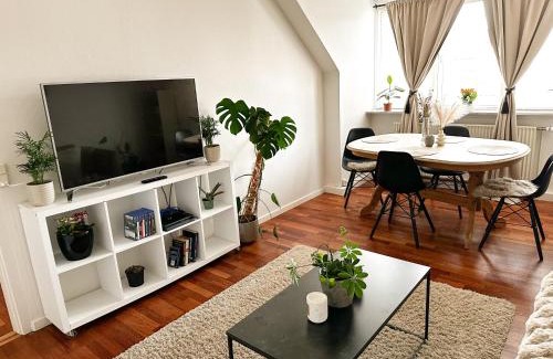Herning Apartment | Deluxe Apartment with Free Parking & Late Checkout - Herning City Center
