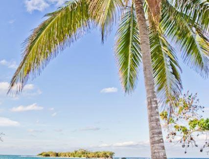 Orange Bay Apartment | Deluxe point village app 194