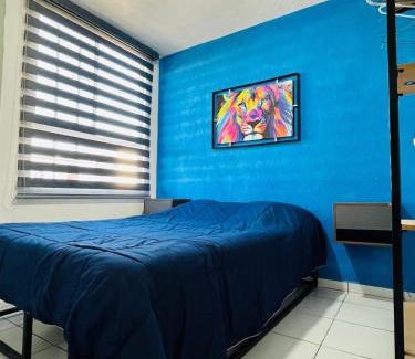 Tlajomulco de Zuniga Apartment | Departamento a 10 minutos del aeropuerto