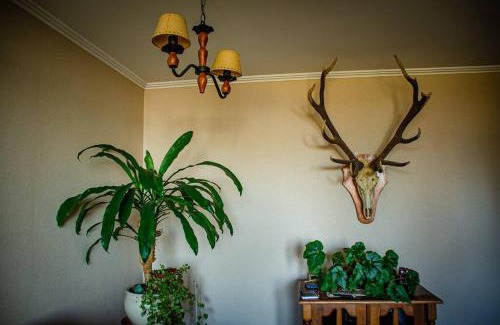 San Pedro de la Paz Apartment | Departamento Andalué