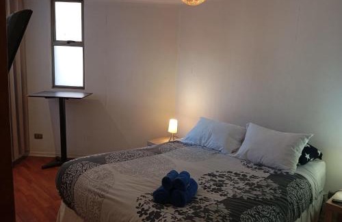 Bellas Artes Apartment | Departamento con encanto cerca de Bellas Artes y Lastarria
