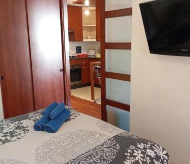 Bellas Artes Apartment | Departamento con encanto cerca de Bellas Artes y Lastarria