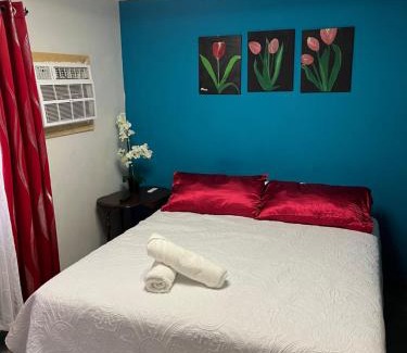 Segunda Seccion Apartment | Departamento Tulipán