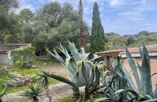 Saint-Florent Villa | Deux mini villas distancees 10 metres pour 6 personnes