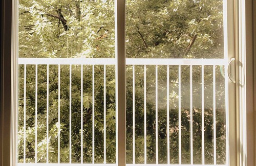 Elk Rapids Apartment | Dexter Suite - 2 Queen Beds | Sleeper Sofa - Accessible
