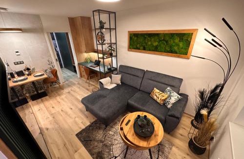 Brno-stred Apartment | DH Vankovka Design 1kk Apartment - 1 min Vankovka, BUS, Train - Netflix, SmartTV, Free Nespresso, Free Parking