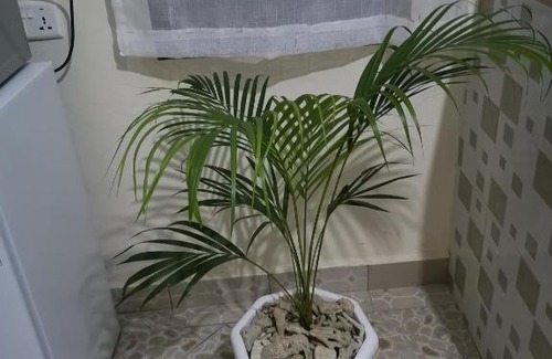 Ukunda Apartment | Diani Ocean View Apartment