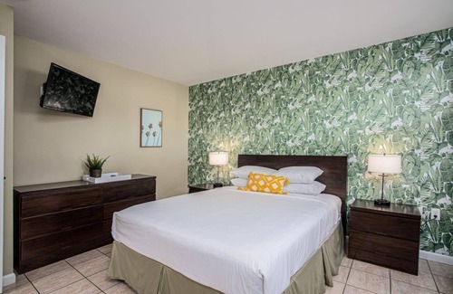 St. Augustine Hotel | Digital Retro Boutique Hotel - Wheelchair Accessible Single Queen Near Downtown St. Augustine & the Beach