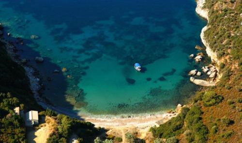Patitiri Apartment | Dina's Flowers - Alonnisos Summer Havens