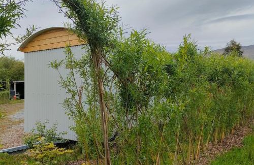 Annascaul Other | Dingle Way Glamping DANÚ Annascaul