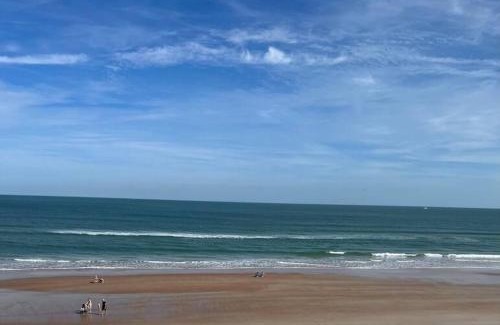 South Peninsula Historic District Apartment | Direct ocean front view 1 bedroom Open Pool Ocean J