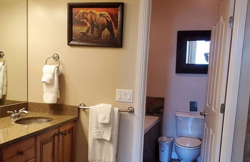 Ogden Condo | Discounted Rates!! Great Snow!! Springtime Fun!!