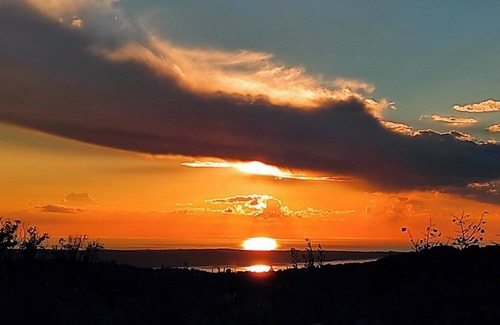 Piran Apartment | Discover nature's symphony, taste our own produced organic olive oil and wine.