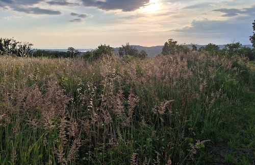 Piran Apartment | Discover nature's symphony, taste our own produced organic olive oil and wine.