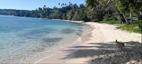 Taveuni Island East House | Discover Taveuni Retreats
