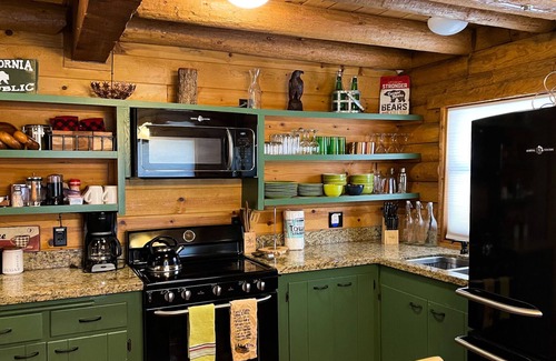 Idyllwild Cabin | Discover Unmatched Charm at Timbered Pines Log Cabin with AC and EV Charger