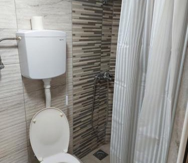 Central Serbia Apartment | Djurdjevak