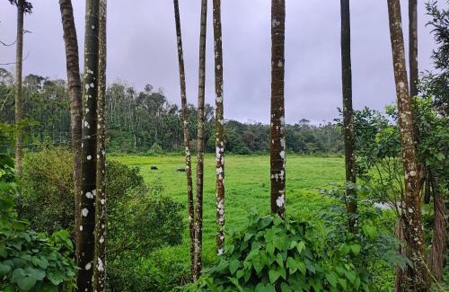 Mudigere House | Doddagadde Stays - Near to Ettina Bhuja Trekking