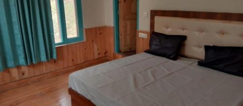 Tosh House | Dodo House Tosh