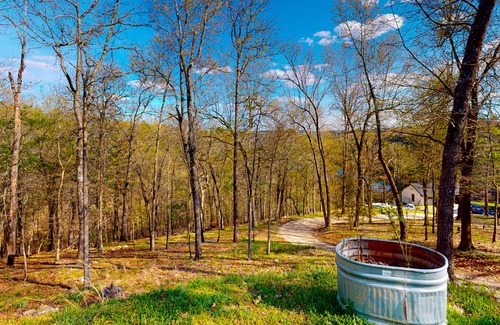 Eureka Springs Apartment | Dog-friendly home near the lake with a hot tub, firepit, grill & deck