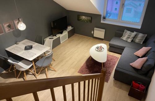 Dolni Morava Apartment | Dolní Morava - Apartmány