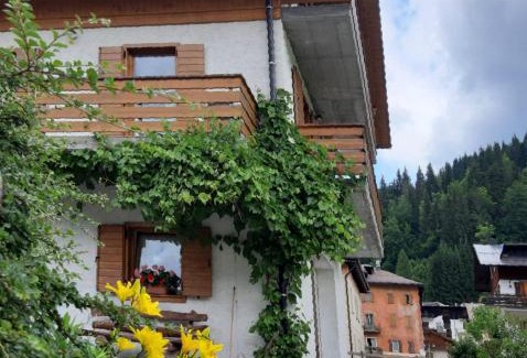 Santo Stefano di Cadore Apartment | DOLOMITI DA VIVERE