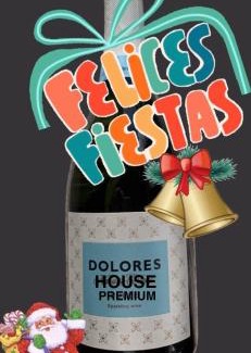 Province of Tierra del Fuego Apartment | Dolores House PREMIUM
