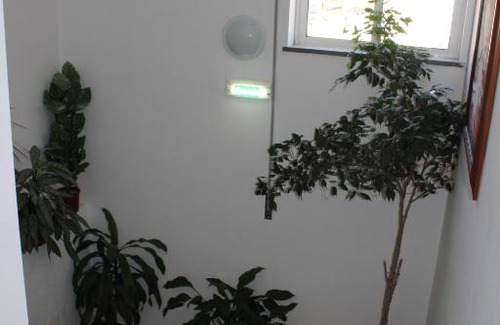 Sao Clemente House | Dom Fernando I