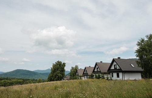 Cisna House | Dom Malowany domki