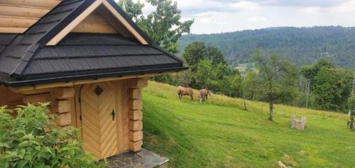 Wisla Ski Chalet | Dom pod Baranią - Wisła - sauna, jacuzzi, tężnia & widok na góry