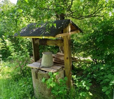 Bochnia House | Dom pod Galazka
