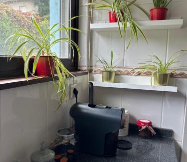 Peso da Regua Apartment | Dom Ruas