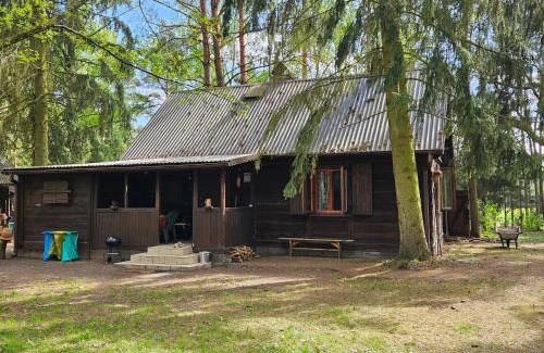 Pułtusk House | Dom z linią brzegową Narwi 3