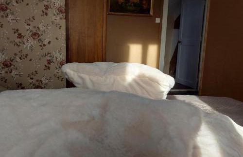 Magnac-Laval Bed & Breakfast | Domaine des Pommiers