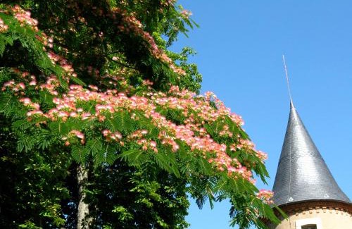 Gannay-sur-Loire House | Domaine du Bourg Gites