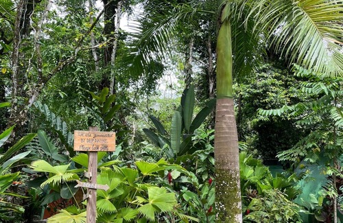 Big Creek House | Dome shaped bungalow in a lush tropical forest, steps away from ocean views.